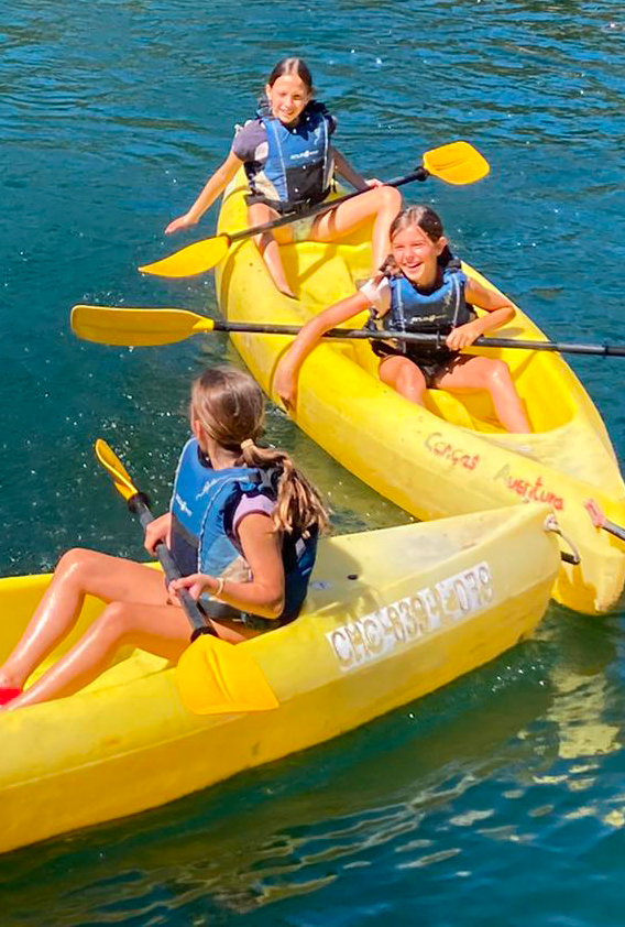 Cerler - S.C.Rosales