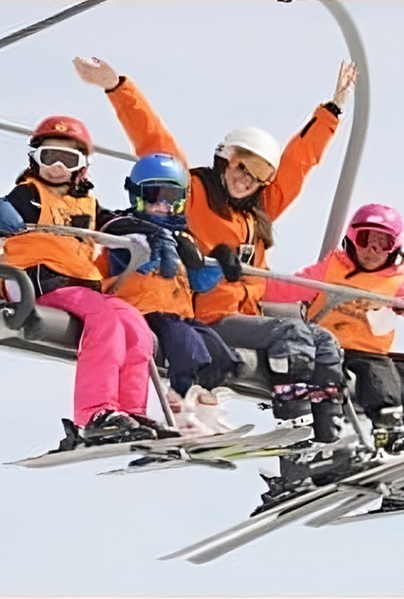 Cerler - S.C.Rosales